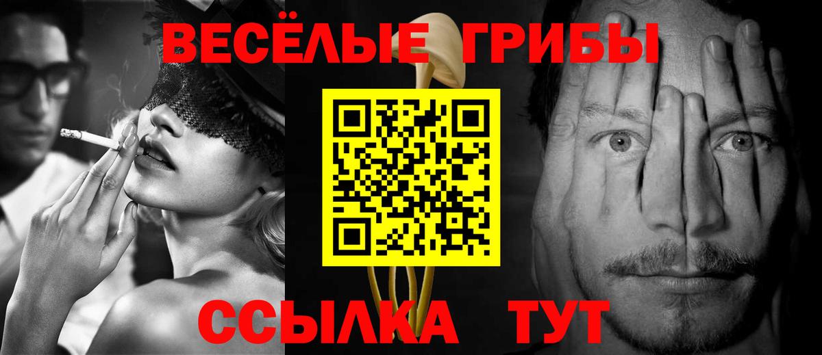 даркнет сайт  Псилоцибиновые грибы прущие грибы  Вход с VPN  Ангарск 